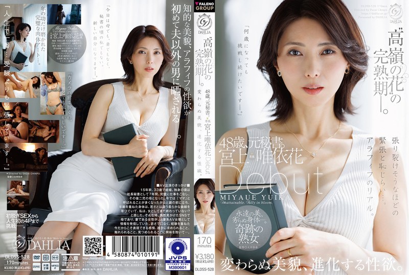 DLDSS528